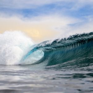 Meet your Posher, Gena